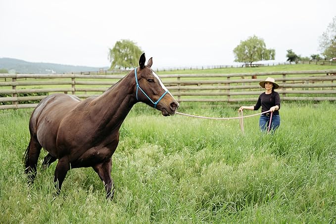 22' Long Line with SS O Ring and Carabiner (Turquoise Brown)-PurrikoPets