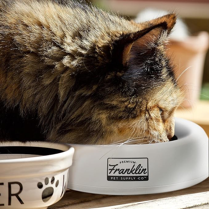 Franklin Pet Supply Co. Co. Spill Proof Pet Bowl - No Splash Travel Water + Food Dish for Dogs + Cats - Portable - 16 oz. - BPA Free-PurrikoPets