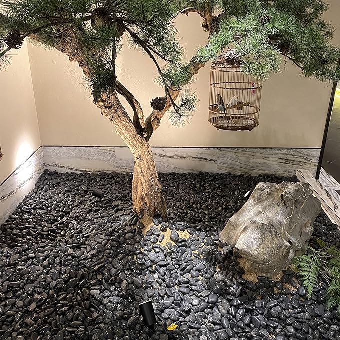 20 lbs Decorative Black River Rocks for Plants, 1-2 inch Natural Black Pebbles for Indoor Plants, Plant Rocks, Rocks for Outdoor Landscaping, Vase, Decorative Stones and Garden Rocks-PurrikoPets