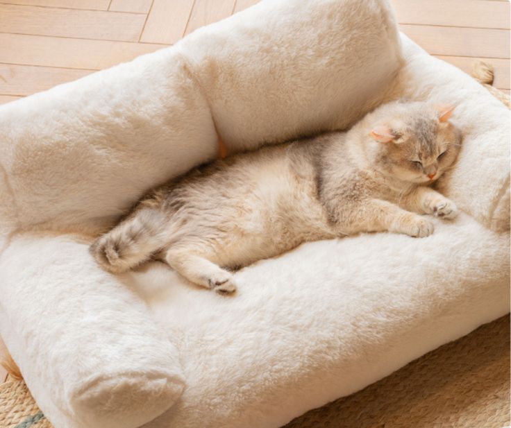 Beds & Furniture