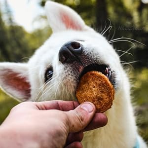 Farm To Pet - Dog Training Treats - Chicken Chips, Single Ingredient - 4 oz, Lean, All Natural, Healthy Dog Treats for Small, Medium, Large Breeds, & Puppies, Made in USA-PurrikoPets