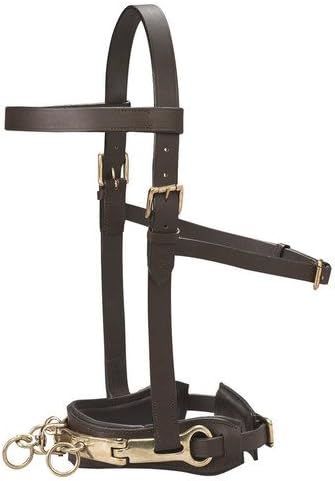 Dover Saddlery Leather Lunge Caveson, Size: C/S-PurrikoPets