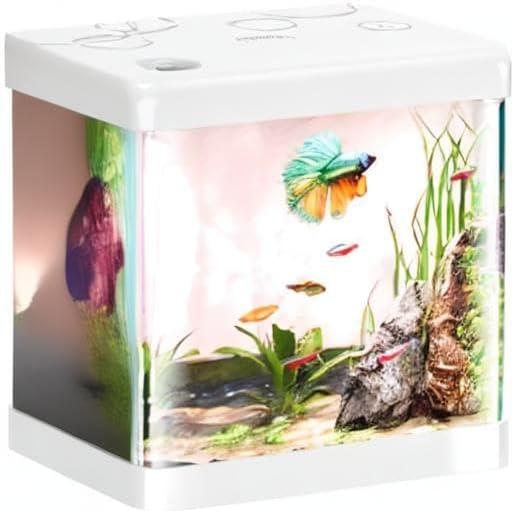 5 Gallon Glass Small Fish Tank,Betta Fish Tank with Filter and Light,White Aquarium Starter Kit.-PurrikoPets