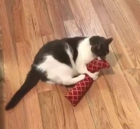 15" Catnip Cat Kicker Toys/Kitty Kick Sticks/Cat-Nip Kick Sticks (Rose Red) (Kickers Filled with 1 oz Premium Canadian Catnip)-PurrikoPets