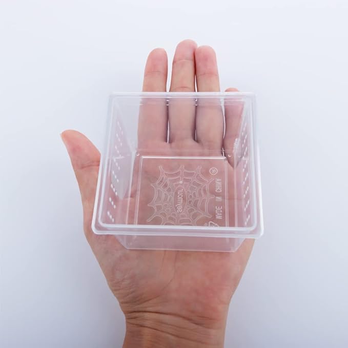10 Pcs Insect Spider Terrariums Breeding Box Hatching Container Small Reptile Scorpion Centipede Acrylic Breeding Box (Small Size)-PurrikoPets