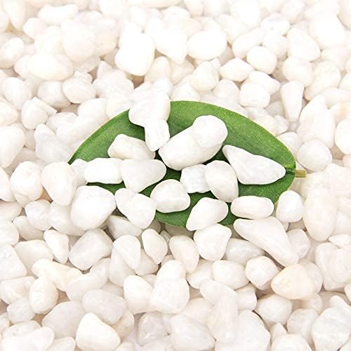 18 Pounds Decorative Pebbles Small White Stones Aquarium Gravel River Rock, Natural Polished Decorative Gravel,Garden Ornamental Pebbles Rocks,White Decorative Stones,White Pebbles, Decor (White)-PurrikoPets