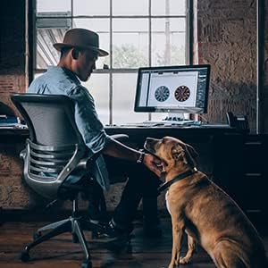 Flea and Tick Collar for Small Dog, Made with Natural Plant Based Essential Oil, Safe and Waterproof, Free Comb and Prevention Treatment Drop, 2x6 Month, 13.8 in (2 Packs)-PurrikoPets