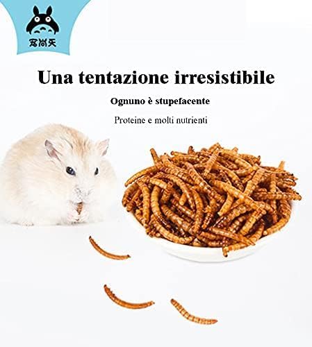 Food for Hamsters, Hedgehogs, Lizards, Frogs, Birds, Hedgehogs, Snacks, Nutritious, high Protein, Cooked breadworms, Small Animal Food-PurrikoPets