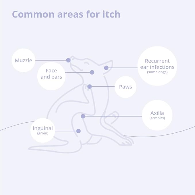 4 Spray Conditioner for Dogs, Cats and Horses, 8 oz-PurrikoPets