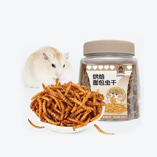 Food for Hamsters, Hedgehogs, Lizards, Frogs, Birds, Hedgehogs, Snacks, Nutritious, high Protein, Cooked breadworms, Small Animal Food-PurrikoPets