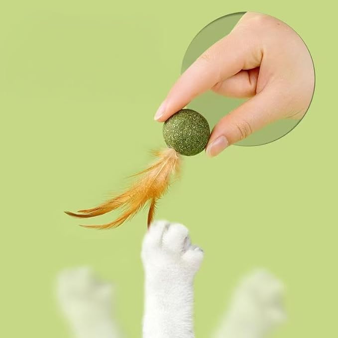 5 Pieces of Catnip Toys Ideal Catnip Ball to Stimulate Cat Exercising and Interacting Toys for Cats-PurrikoPets