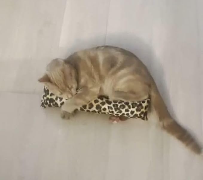 15" Catnip Cat Kicker Toys/Kitty Kick Sticks/Cat-Nip Kick Sticks (Leopard Print) (Kickers Filled with 1 oz Premium Canadian Catnip)-PurrikoPets