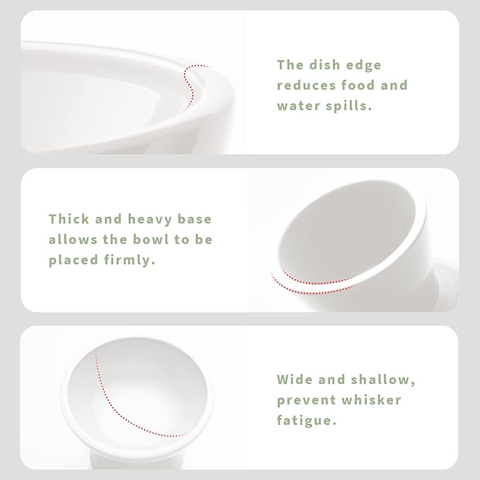 Extra Wide Elevated Ceramic Cat Bowl, 6.2" Shallow Dish for Whisker Fatigue Relief, 5" Height for Easy Feeding, Durable Raised Cat Food Bowls, Pack of 2, White-PurrikoPets