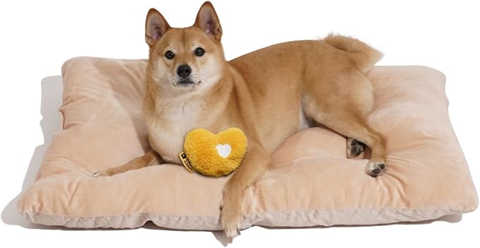 FUNNY FUZZY 2 in 1 Dog Crate Bed Pad for Large Sized Dog, Washable Reversible Pet Soft Mats,Durable Fluffy Kennel Mattress,Indoor Cats, 35" × 23", Beige-PurrikoPets