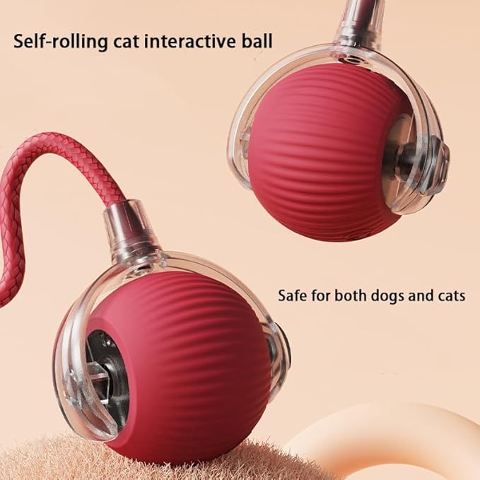 2 Packs Interactive Cat Toy Ball for Indoor Cats - 3-Speed Smart Rolling Ball with Flashing Lights, USB Rechargeable Automatic Motion Kitten Toys for Bored Adult Cats & Playful Kittens-PurrikoPets