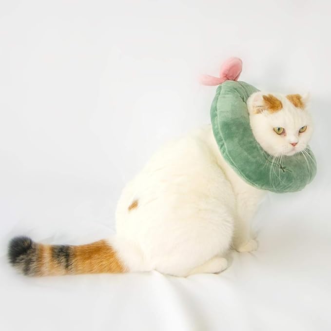 Adjustable Cat Recovery Collar Soft,Cute Pet E-Collar Neck Cone After Surgery Wound Healing Protective Cone Fit for Kitties, Small Dogs(ELC05-cactus-s)-PurrikoPets