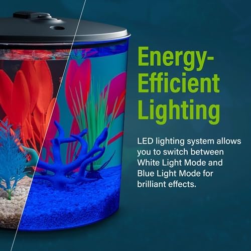 GloFish 3.5 Gallon Aquarium Kit with LED Lighting and Tetra Whisper Filter-PurrikoPets