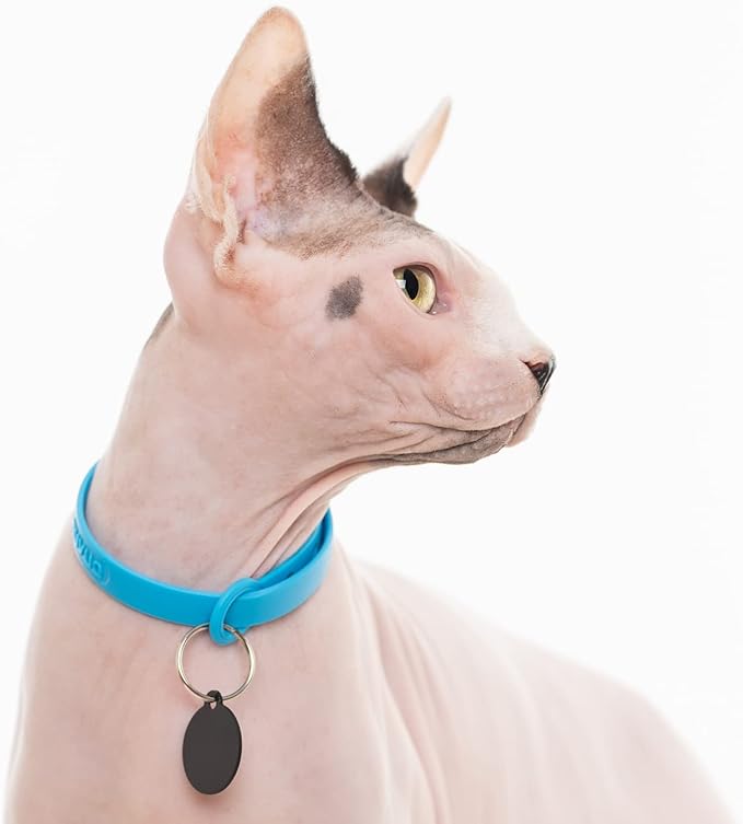 3 Pack Breakaway Cat Collar - Soft, Comfortable, and Lightweight Safety Buckle Collar with Name Tag Ring for Outdoor Cats and Sensitive Skin Kittens by Nuvuq (6 ⅞" to 10 ¼", Blue, Pink and Black)-PurrikoPets