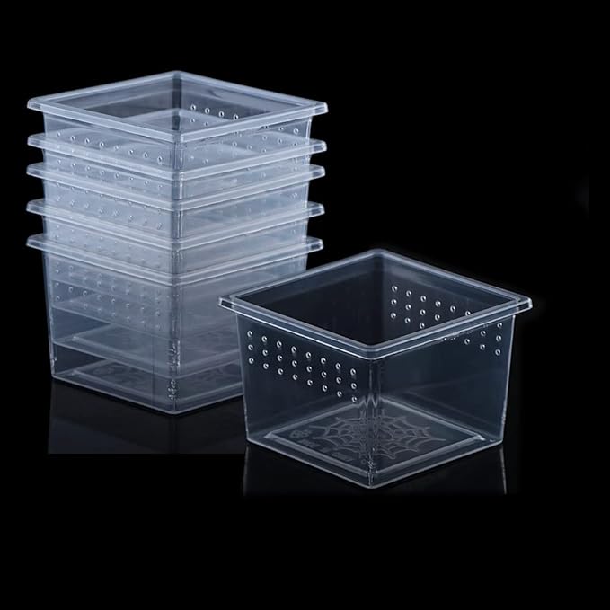 10 Pcs Insect Spider Terrariums Breeding Box Hatching Container Small Reptile Scorpion Centipede Acrylic Breeding Box (Small Size)-PurrikoPets