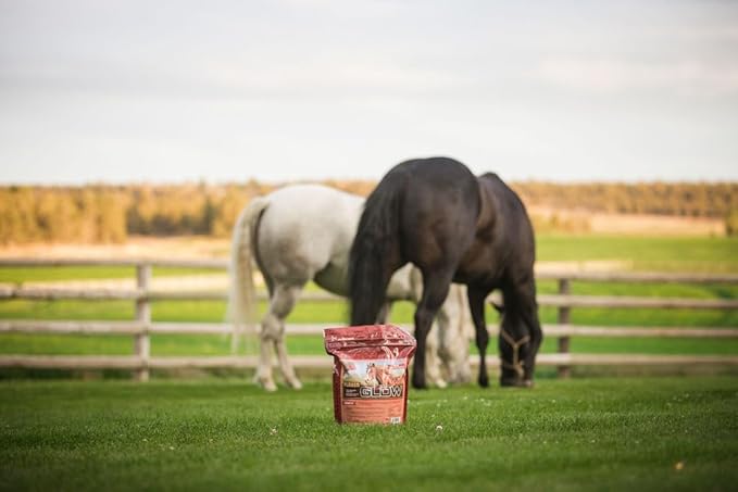 Glow 10 lb, Aids in Weight Gain and Improves Coat and Condition, Includes Omega-3’s-PurrikoPets