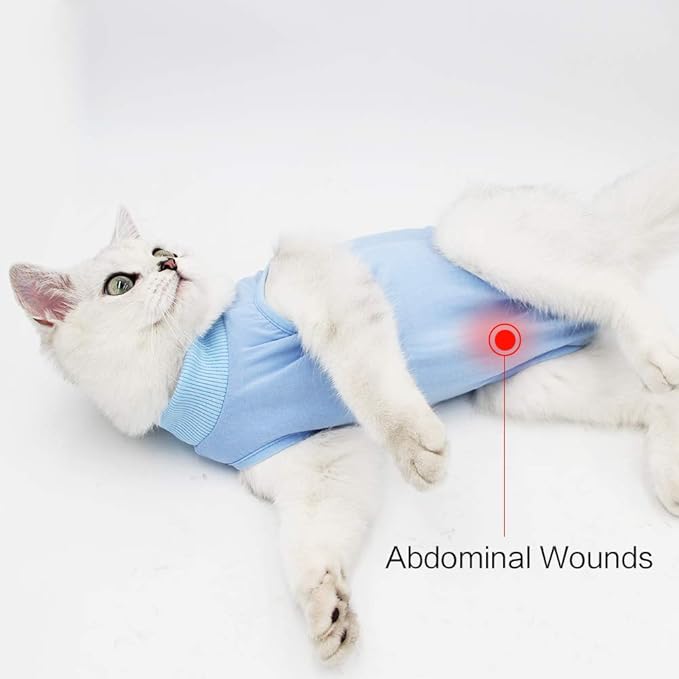 DOTON Cat Recovery Suit for Male and Female Surgical Post Surgery Soft Cone Onesie Shirt Clothes Neuter Licking Protective Diapers Outfit Cover Kitten Spay Collar(S, Blue)-PurrikoPets