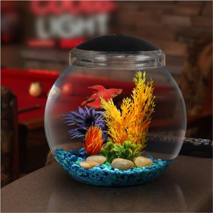 1-Gallon Globe Fish Tank with LED Lighting (7 Color Selections), Impact-Resistant Plastic-PurrikoPets