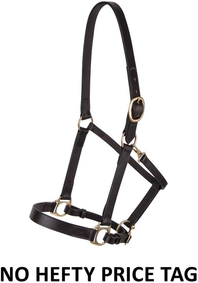 Dura-Tech Premier Lancaster Leather Halter for Horses | Simple Economy Leather Halter with Adjustable Fit & Solid Brass Hardware-PurrikoPets