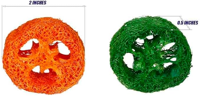 15 Pcs Fruit Flavored Loofah Slices Rabbit Chew Toys Guinea Pig Chew Toys Small Pet Chews Bunny Toys for Teeth Rabbit Toys-PurrikoPets