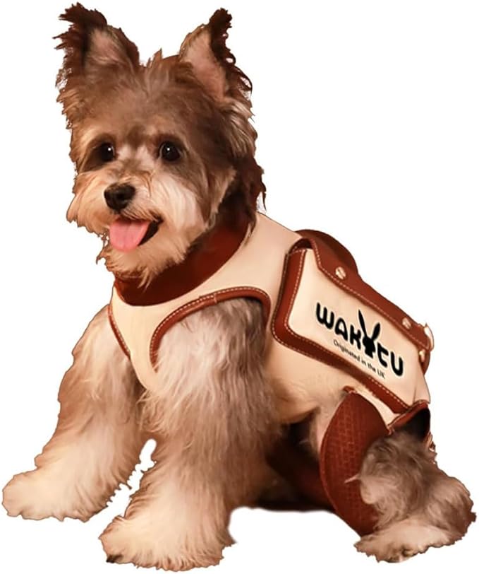 Dog Lift Harness Dog Carrier VES Harness Adjustable Leash with Small Puppy Treat Bag,Fits Most Cars,L-PurrikoPets