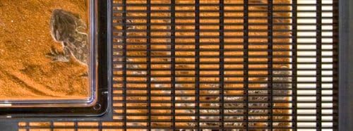 Exo Terra Faunarium, Plastic Reptile Terrarium, Mini, PT2250-PurrikoPets