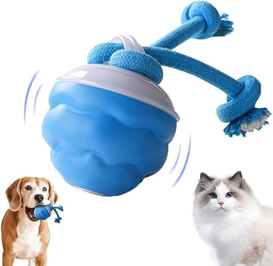 2026 New Interactive Pet Toy Ball, Smart Interactive Toy Ball for Cats & Dogs, Electric Rolling Pet Toy Ball, Rechargeable Interactive Cat Toys for Bored Indoor Cats Kittens to Keep Busy (Blue)-PurrikoPets
