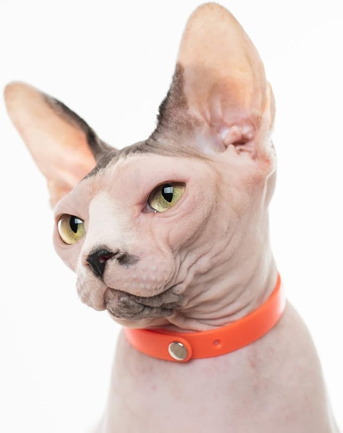 5 Pack Breakaway Cat Collar - Soft, Comfortable, and Lightweight Safety Buckle Collar with ID Tag Ring for Outdoor Cats and Kittens by Nuvuq (6 ⅞" to 10 ¼", Red, Orange, Pink, Blue and Black)-PurrikoPets