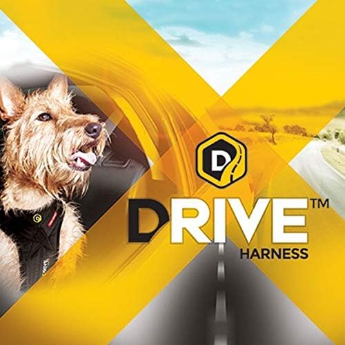 EzyDog Drive Dog Car Harness – Crash Tested and Certified (US-FMVSS 213) Dog Seat Belt Harness for Safe Travel, Adjustable with Padded Comfort (Large)-PurrikoPets