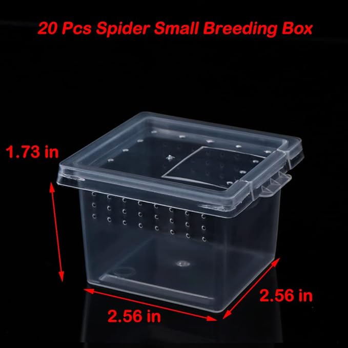 20 Pcs Spider Terrariums Breeding Box Hatching Container Acrylic Feeding Box for Small Reptile Scorpion Centipede Insect (Small Size)-PurrikoPets