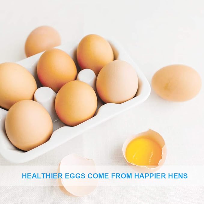 20lbs Mealworms, High-Protein Dried Mealworms for Birds, Chickens, Turtles, Fish, Hamsters and Hedgehogs, Non-GMO and Chemical Free, All Natural Animal Feed-PurrikoPets