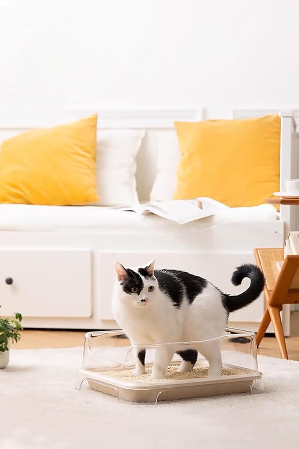 1 Transparent Cat Litter Splash Shield Plus (5-Pack) Disposable Litter Boxes. Small, Quick and Easy Disposal. Shallow for Small Pets, Senior Cats, Kittens-PurrikoPets