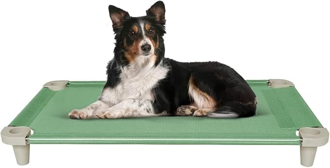 Acrimet Cooling Elevated Pet Dog Bed, Washable and Breathable Mesh Cot, Stainless Steel Frame, Indoor & Outdoor Use, fits Dogs up to 110 lbs (Size: 40” x 24”), Green, 1 Unit-PurrikoPets