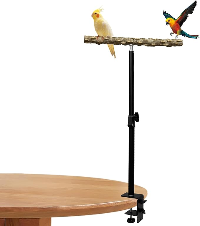 13-23 Inch Height Adjustable Desktop Bird Perch Pepper Wood Bird Training Perch Stand Parakeet Perches Indoor and Outdoor Parrot Stands for Small to Medium Bird-PurrikoPets