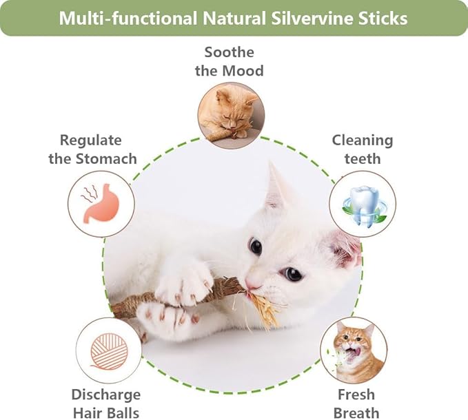 5 PCS Silvervine Sticks for Cats - Natural Cat Chew Toys for Teeth Cleaning, Kitten Teething & Aggressive Chewers-PurrikoPets