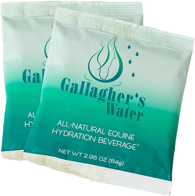 GALLAGHER'S WATER 2 Pack All-Natural Equine Hydration Treat - Enhancement Powder Mix Horse Drink Treat to Help Encourage to Drink Water - Made with All Natural Ingredients, FEI Compliant-PurrikoPets