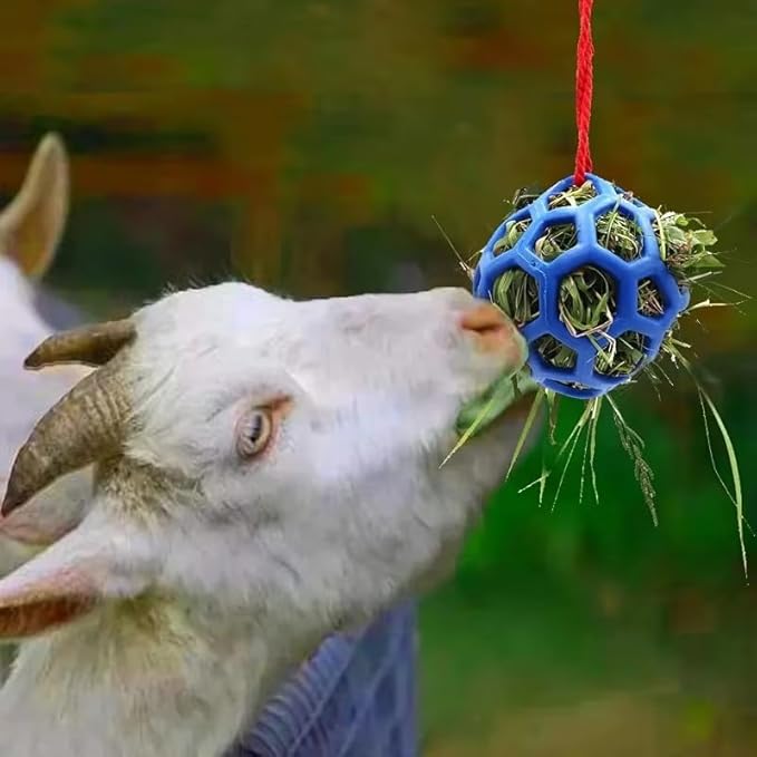 3PCS Hay Feeder Ball Toy for Horses, Goats & Livestock – Rainbow Colors with Hanging Red Cord, Stress Relief & Boredom Prevention (Green, Blue, Red)-PurrikoPets