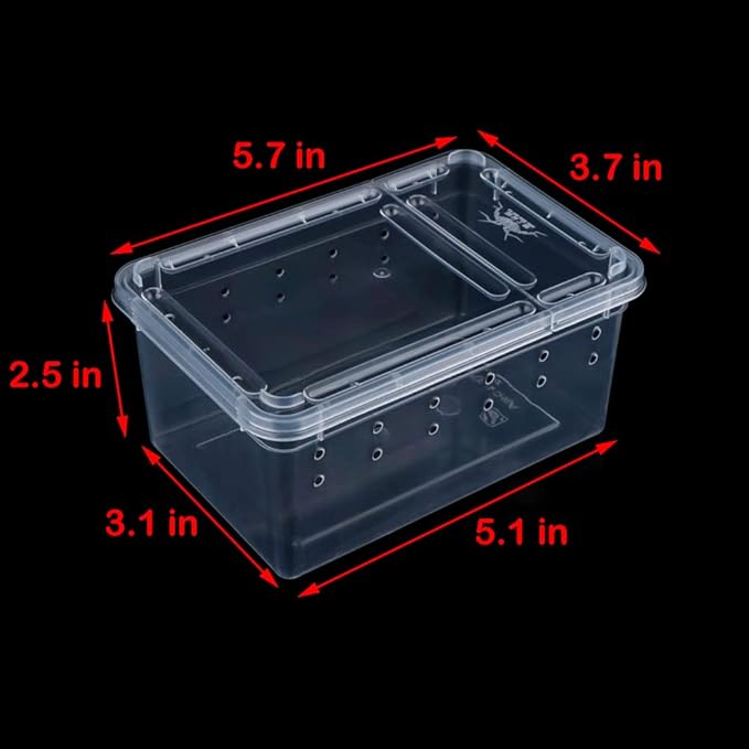 5 Pcs Spider Small Terrariums Breeding Box Transparent Hatching Container Plastic Feeding Box for Small Reptile Spider Scorpion Centipede Insect-PurrikoPets