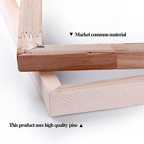 Fantasy Angel Stretched Canvas Wall Art for Living Room Bedroom Home Decoration,Abstract Anime Picture Print Painting Decor Artwork,Mysterious Wing Man Gallery Wrapped Gift,Inner Frame (20x30 Inches)-PurrikoPets