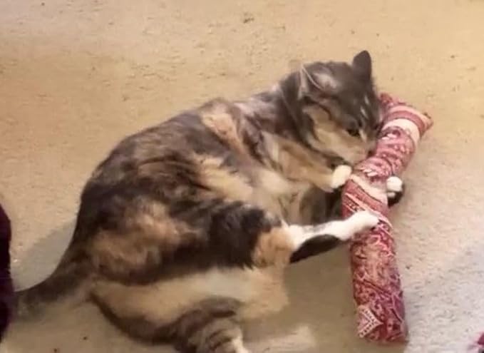 15" Catnip Cat Kicker Toys/Kitty Kick Sticks/Cat-Nip Kick Sticks (Ruby Red) (Kickers Filled with 1 oz Premium Canadian Catnip)-PurrikoPets