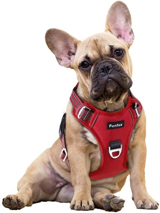 Funfox Dog Harness No Pull, Adjustable Pet Vest Harness, Super Soft Material with Vertical Handle Easy Control, Reflective Night Walking, 2 Leash Clips for Small Sized Dogs, Red, S-PurrikoPets
