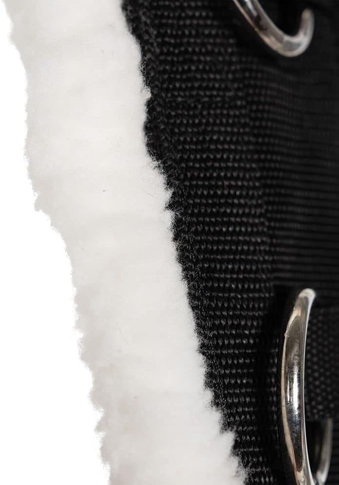 Dura-Tech Fleece Lined Training Surcingle for Horses | Essential for Lunging Work | Comfortable Fleece Lining | Durable Poly Material | Versatile D-Ring Placement | Suitable for All Training Levels-PurrikoPets
