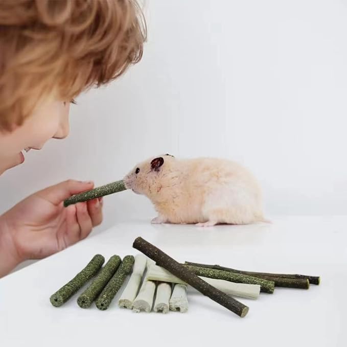 300g Guinea Pig & Rabbit Chew Toys with Apple & Timothy Sticks - Prevent Overgrown Teeth with Sweet Bamboo Treats - Ideal Rabbit Treats Included!-PurrikoPets