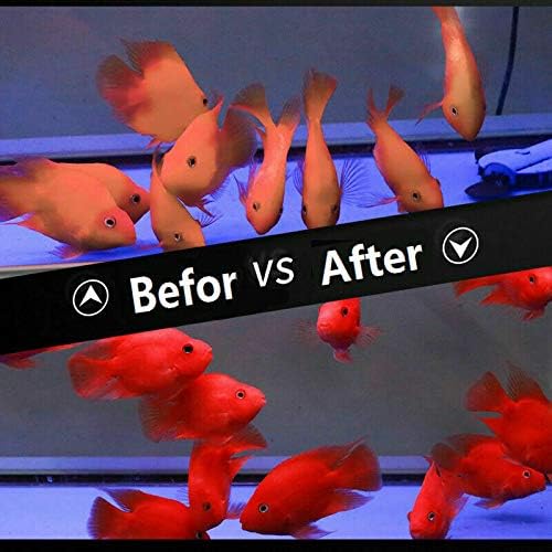 1kg Parrot Pellets Food Color-Enhancing Red Parrot Cichlid Fish Feed Food (1 kg Parrot Fish Pellets)-PurrikoPets