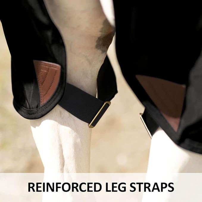 Dura-Nylon Horse Stable Sheet | Ultimate Comfort & Protection Horse Sheet | Keeps Coats Smooth & Shiny-PurrikoPets