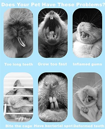 150g 3 Types of Combined Chew Toys Molar Sticks Sweet Bamboo Apple Branch Timothy Grass for Pets Chinchilla Squirrel Gerbil Hamster Squirrel Guinea Pigs-PurrikoPets